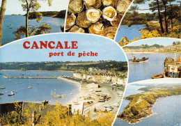 35-CANCALE-N°T2746-D/0063 - Cancale