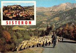 04-SISTERON-N°T2746-C/0379 - Sisteron