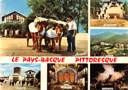 64-PAYS BASQUE-N°T2747-D/0049 - Autres & Non Classés