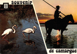 13-EN CAMARGUE-N°T2748-B/0301 - Autres & Non Classés