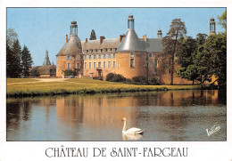 89-SAINT FARGEAU-N°T2748-B/0233 - Saint Fargeau