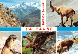 05-ALPES LA FAUNE-N°T2748-A/0369 - Sonstige & Ohne Zuordnung