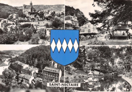 63-SAINT NECTAIRE-N°T2748-A/0045 - Saint Nectaire
