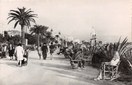 06-CANNES-N°T2749-A/0069 - Cannes