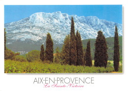 13-AIX EN PROVENCE-N°T2749-A/0011 - Aix En Provence