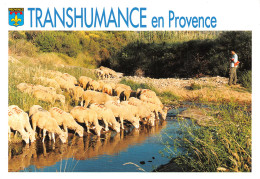 13-PROVENCE LA TRANSHUMANCE-N°T2749-A/0013 - Autres & Non Classés