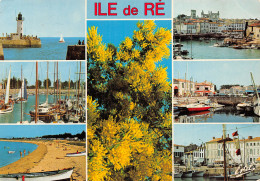 17-ILE DE RE-N°T2748-D/0153 - Ile De Ré