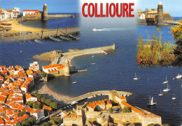 66-COLLIOURE-N°T2749-C/0283 - Collioure