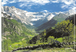 65-GAVARNIE-N°T2749-B/0269 - Gavarnie