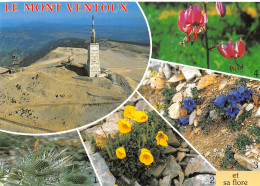 84-MONT VENTOUX-N°T2749-B/0137 - Autres & Non Classés