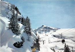 74-MORZINE-N°T2749-A/0253 - Morzine