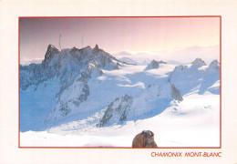 74-CHAMONIX MONT BLANC-N°T2749-A/0185 - Chamonix-Mont-Blanc