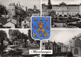 45-MONTARGIS-N°T2750-A/0367 - Montargis