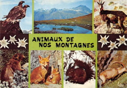 TH-ANIMAUX DE NOS MONTAGNES-N°T2749-D/0023 - Other & Unclassified