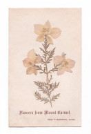 Flowers From Mount Carmel, Relique, 1960 - Andachtsbilder