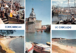 29-CONCARNEAU CABELLOU-N°T2750-C/0063 - Concarneau