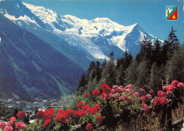 74-CHAMONIX MONT BLANC-N°T2750-C/0047 - Chamonix-Mont-Blanc