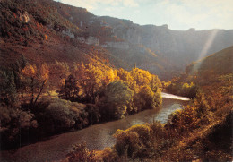 48-GORGES DU TARN-N°T2751-C/0059 - Gorges Du Tarn