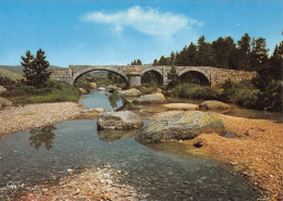 48-PONT DE MONTVERT SUD MONT LOZERE-N°T2751-B/0351 - Autres & Non Classés