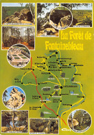 77-FONTAINEBLEAU LA FORET-N°T2752-A/0269 - Fontainebleau