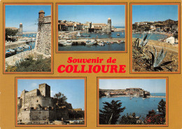 66-COLLIOURE-N°T2751-D/0119 - Collioure