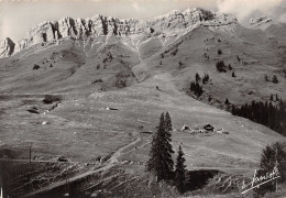 74-COL DES ARAVIS-N°T2751-D/0103 - Autres & Non Classés