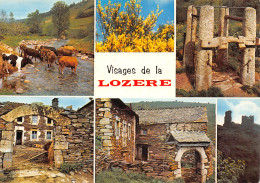 48-EN LOZERE-N°T2752-B/0299 - Autres & Non Classés