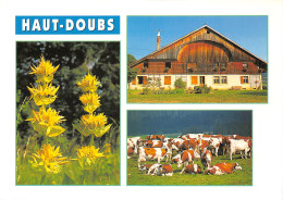 25-HAUT DOUBS-N°T2752-B/0269 - Other & Unclassified