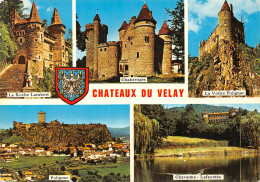 43-CHATEAUX DU VEALY-N°T2752-B/0249 - Other & Unclassified
