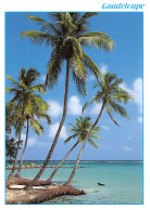 971-GUADELOUPE PLAGE DE SAINTE ANNE-N°T2753-B/0019 - Sonstige & Ohne Zuordnung