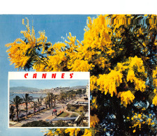 06-CANNES-N°T2754-C/0383 - Cannes