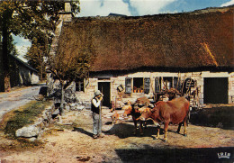 19-LIMOUSIN FOLKLORE FERME AU TOIT DE CHAUME-N°T2754-C/0247 - Sonstige & Ohne Zuordnung