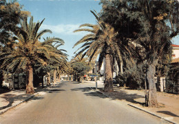 83-SANARY-N°T2755-A/0199 - Sanary-sur-Mer