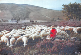 19-LES MONEDIERES FOLKLORE LA BERGERE-N°T2755-D/0215 - Autres & Non Classés