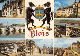 41-BLOIS-N°T2755-D/0145 - Blois