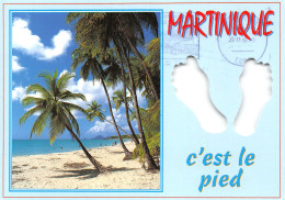 972-MARTINIQUE LES SALINES-N°T2757-B/0173 - Autres & Non Classés