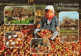 76-NORMANDIE FOLKLORE LES POMMES-N°T2757-A/0395 - Other & Unclassified
