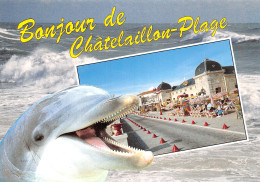 17-CHATELAILLON PLAGE-N°T2757-D/0279 - Sonstige & Ohne Zuordnung