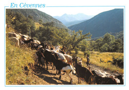 48-LES CEVENNES-N°T2757-C/0127 - Autres & Non Classés