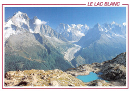 74-LE LAC BLANC-N°T2757-C/0109 - Autres & Non Classés