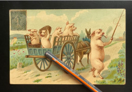 V470 - ATTELAGE D'ANE AVEC COCHONS (ALLANT AU MARCHE) COCHON HUMANISE AVEC PIPE - 1900-1949