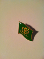 Pin's Erin Go Bragh Irlande - Non Classés