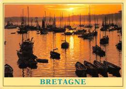 22-BRETAGNE-N°T2758-A/0373 - Other & Unclassified