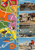 13-CAMARGUE FOLKLORE LE GARDIAN-N°T2760-A/0175 - Other & Unclassified