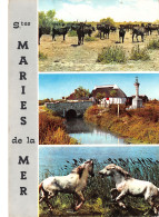 13-LES SAINTES MARIES DE LA MER-N°T2761-A/0177 - Saintes Maries De La Mer