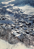 74-MORZINE-N°T2760-D/0381 - Morzine