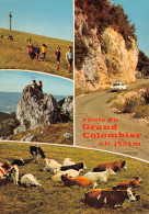 01-LE GRAND COLOMBIER-N°T2760-C/0199 - Ohne Zuordnung