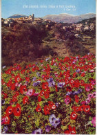 (06). Saint Paul De Vence. 10.10608 Floraison & 6 Petites Cartes & 484 Fontaine & 3 Petites Cartes & G506 & 15269 - Saint-Paul