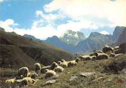 05-MONT VISO-N°T2762-B/0383 - Autres & Non Classés