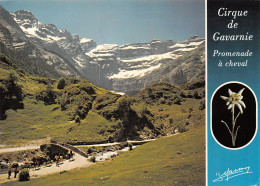 65-GAVARNIE-N°T2762-B/0359 - Gavarnie